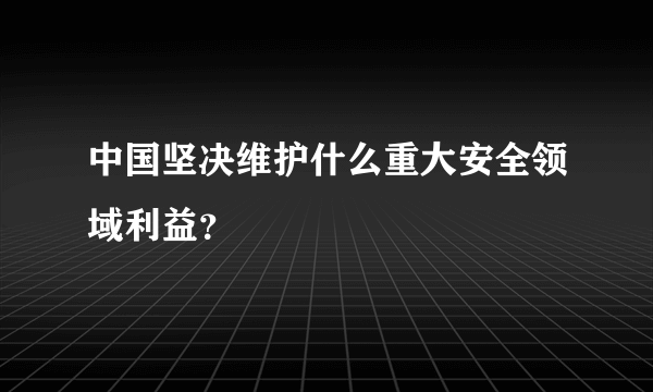 中国坚决维护什么重大安全领域利益？