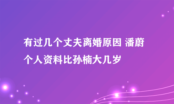 有过几个丈夫离婚原因 潘蔚个人资料比孙楠大几岁