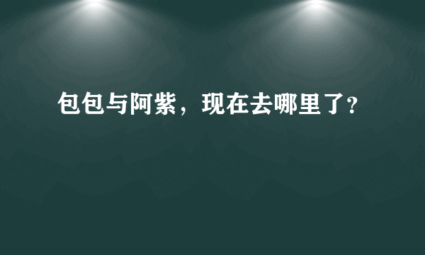 包包与阿紫，现在去哪里了？