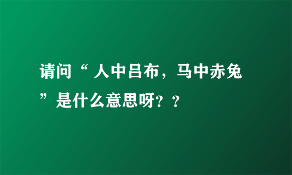 请问“ 人中吕布，马中赤兔 ”是什么意思呀？？