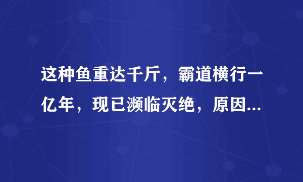 这种鱼重达千斤，霸道横行一亿年，现已濒临灭绝，原因让人无奈！