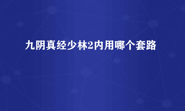 九阴真经少林2内用哪个套路