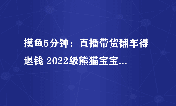 摸鱼5分钟：直播带货翻车得退钱 2022级熊猫宝宝集体亮相