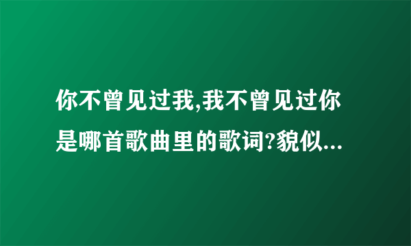 你不曾见过我,我不曾见过你是哪首歌曲里的歌词?貌似是首老歌？