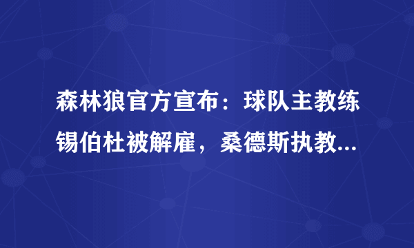 森林狼官方宣布：球队主教练锡伯杜被解雇，桑德斯执教至赛季结束，你怎么看？