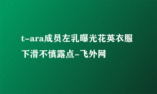 t-ara成员左乳曝光花英衣服下滑不慎露点-飞外网