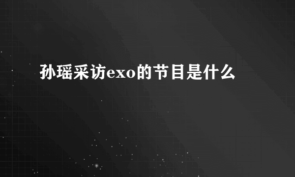 孙瑶采访exo的节目是什么