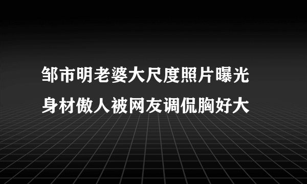 邹市明老婆大尺度照片曝光 身材傲人被网友调侃胸好大