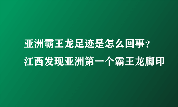 亚洲霸王龙足迹是怎么回事？江西发现亚洲第一个霸王龙脚印