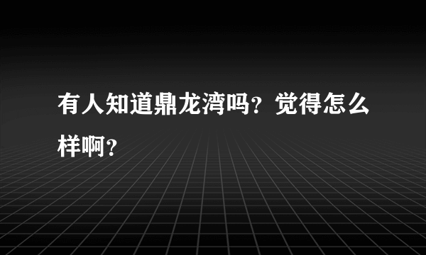 有人知道鼎龙湾吗？觉得怎么样啊？