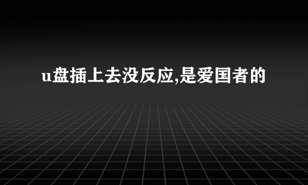 u盘插上去没反应,是爱国者的