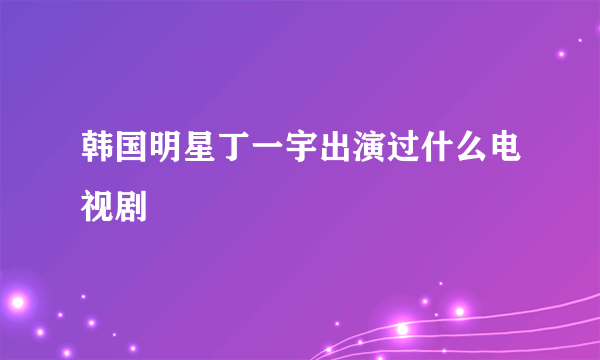 韩国明星丁一宇出演过什么电视剧