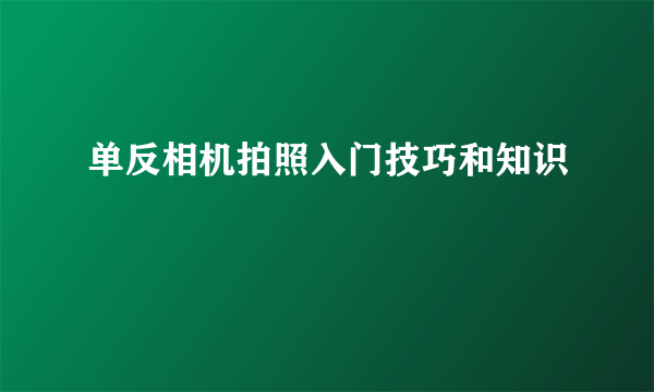 单反相机拍照入门技巧和知识