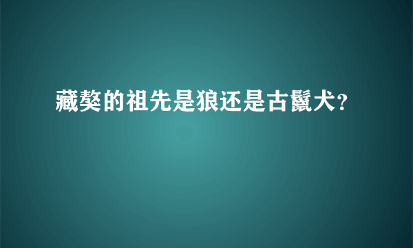 藏獒的祖先是狼还是古鬣犬？