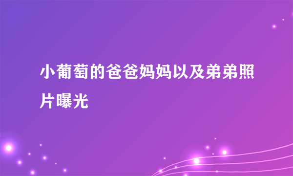 小葡萄的爸爸妈妈以及弟弟照片曝光