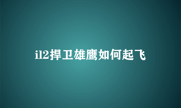 il2捍卫雄鹰如何起飞