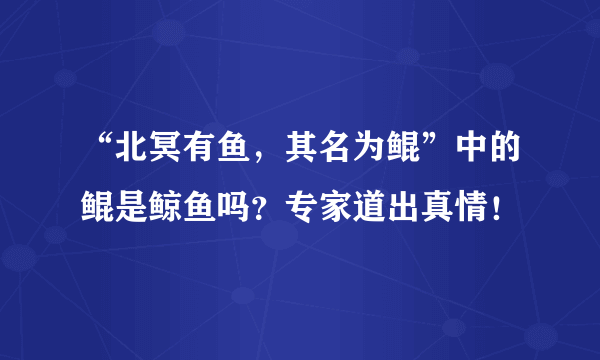 “北冥有鱼，其名为鲲”中的鲲是鲸鱼吗？专家道出真情！