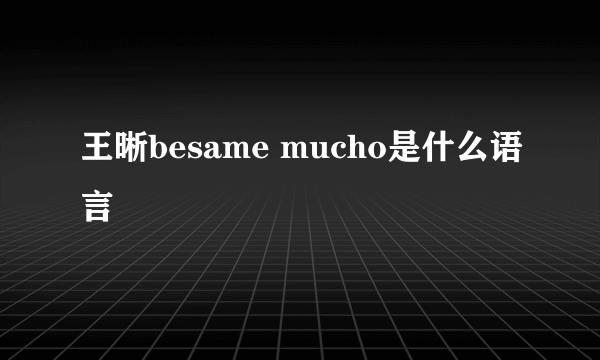 王晰besame mucho是什么语言