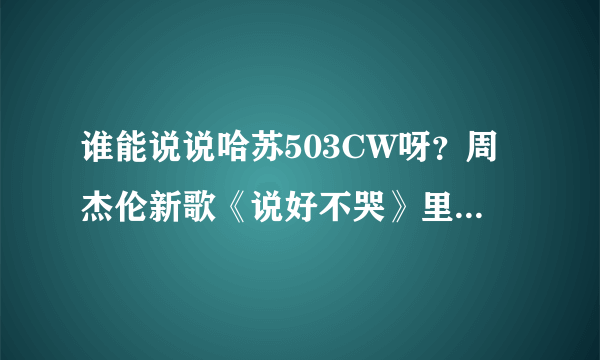 谁能说说哈苏503CW呀？周杰伦新歌《说好不哭》里男主想要的那台相机？