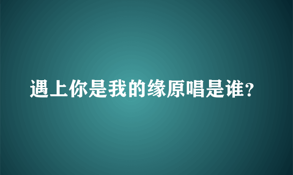 遇上你是我的缘原唱是谁？