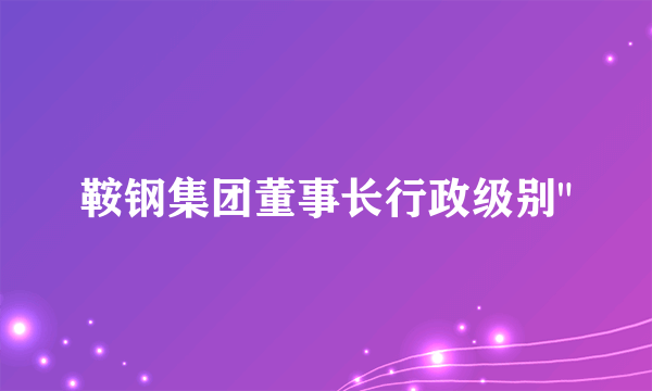 鞍钢集团董事长行政级别