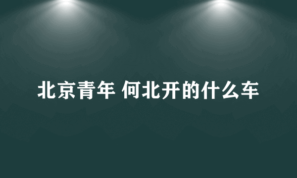 北京青年 何北开的什么车