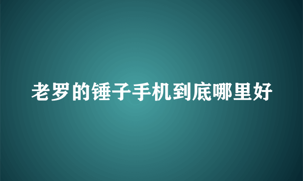 老罗的锤子手机到底哪里好