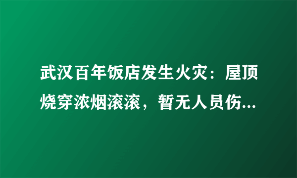 武汉百年饭店发生火灾：屋顶烧穿浓烟滚滚，暂无人员伤亡, 你怎么看？