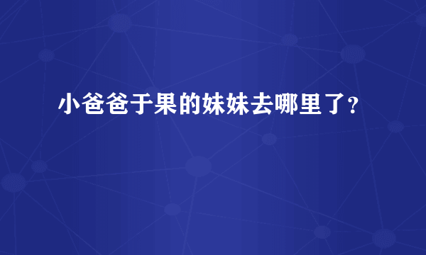 小爸爸于果的妹妹去哪里了？