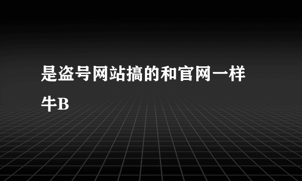 是盗号网站搞的和官网一样  牛B