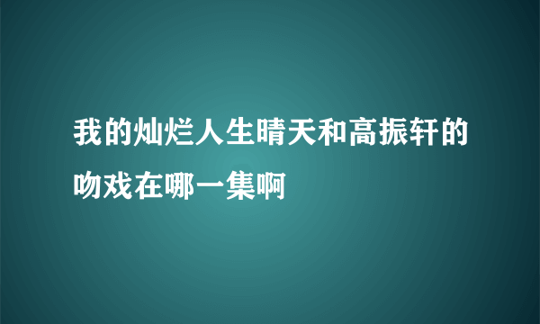 我的灿烂人生晴天和高振轩的吻戏在哪一集啊