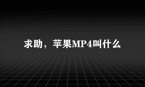 求助，苹果MP4叫什么