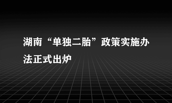 湖南“单独二胎”政策实施办法正式出炉