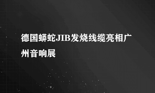 德国蟒蛇JIB发烧线缆亮相广州音响展