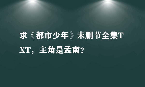 求《都市少年》未删节全集TXT，主角是孟南？