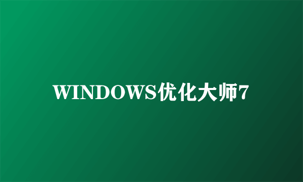 WINDOWS优化大师7