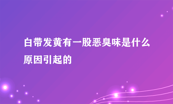 白带发黄有一股恶臭味是什么原因引起的