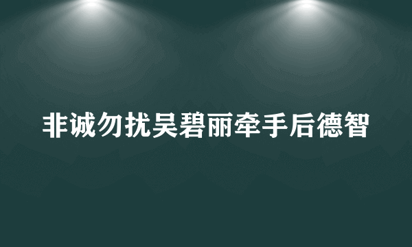 非诚勿扰吴碧丽牵手后德智