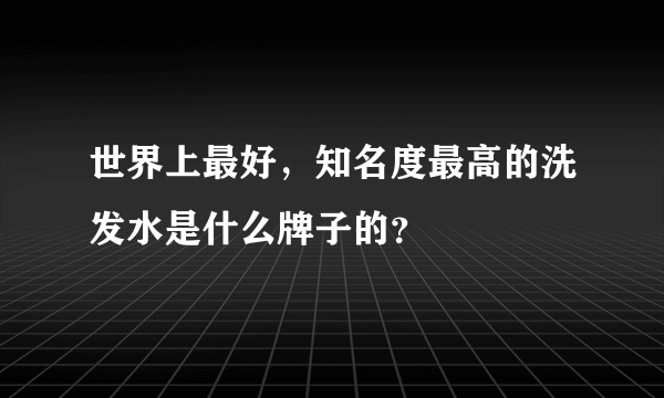 世界上最好，知名度最高的洗发水是什么牌子的？