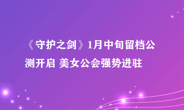 《守护之剑》1月中旬留档公测开启 美女公会强势进驻