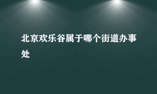 北京欢乐谷属于哪个街道办事处