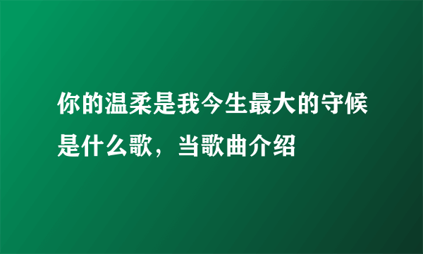 你的温柔是我今生最大的守候是什么歌，当歌曲介绍