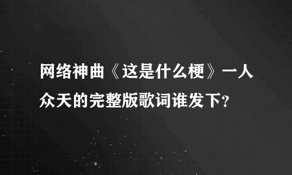 网络神曲《这是什么梗》一人众天的完整版歌词谁发下？