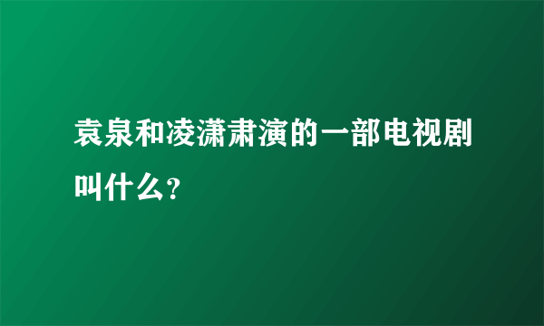 袁泉和凌潇肃演的一部电视剧叫什么？