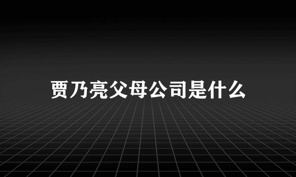 贾乃亮父母公司是什么