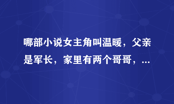 哪部小说女主角叫温暖，父亲是军长，家里有两个哥哥，男主角角盛允什