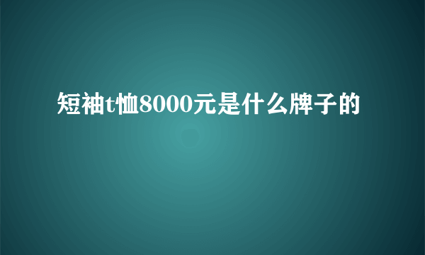 短袖t恤8000元是什么牌子的