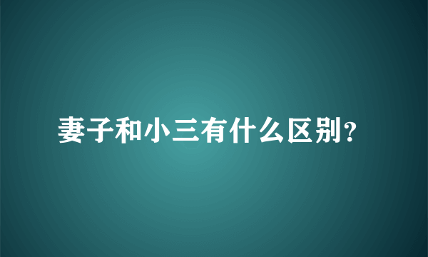 妻子和小三有什么区别？