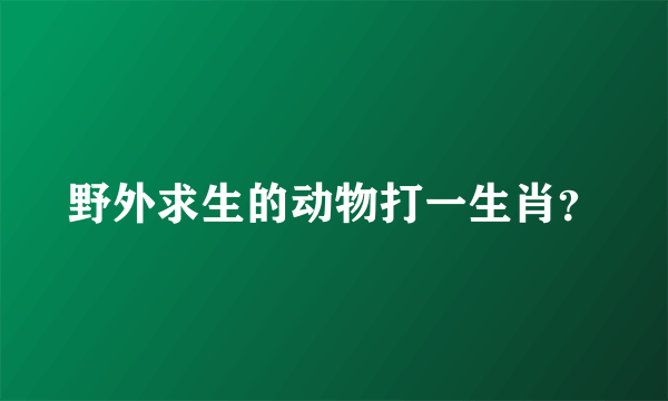 野外求生的动物打一生肖？