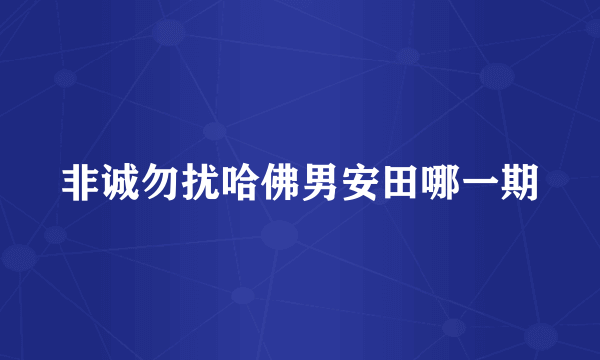 非诚勿扰哈佛男安田哪一期